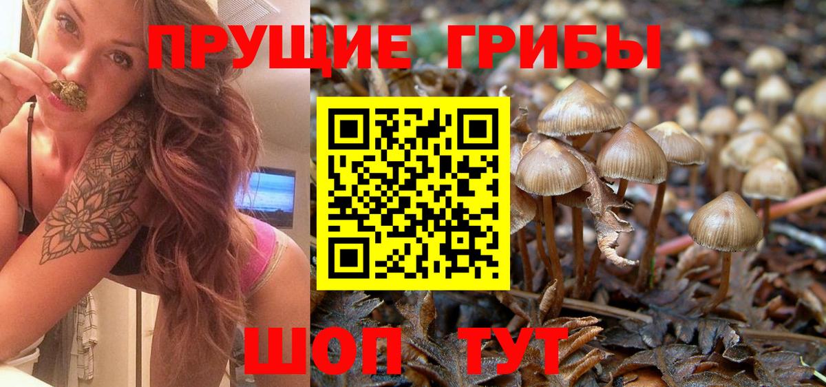 Галлюциногенные грибы MAGIC MUSHROOMS  Вход с VPN  Галлюциногенные грибы Psilocybe  Южно-Сахалинск 